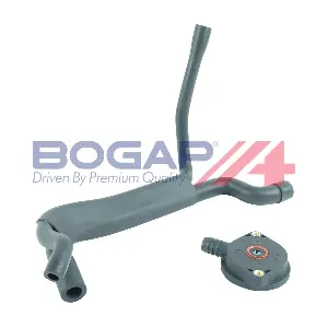 B1217114 BOGAP