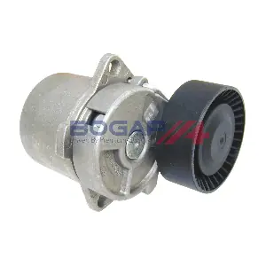 B1317127 BOGAP