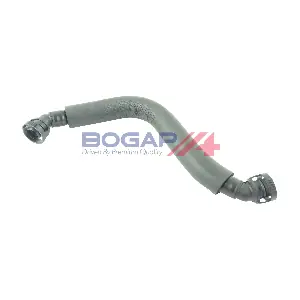 A1210174 BOGAP