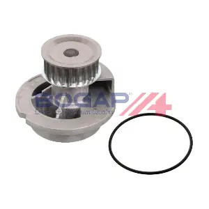 G4234107 BOGAP