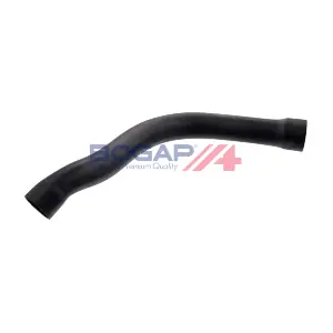 BOGAP B4228581