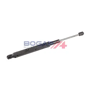 C5134155 BOGAP