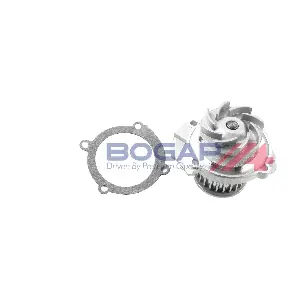 W4234101 BOGAP