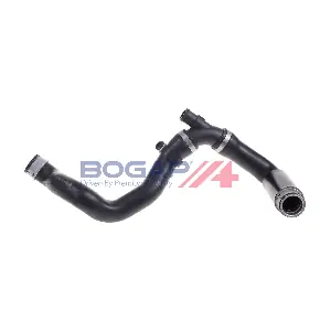 C4228102 BOGAP