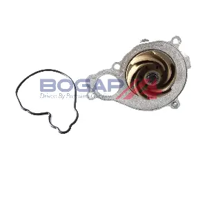 B4234148 BOGAP