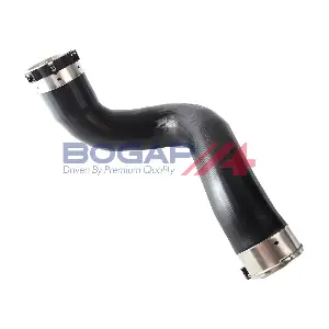 C1711179 BOGAP