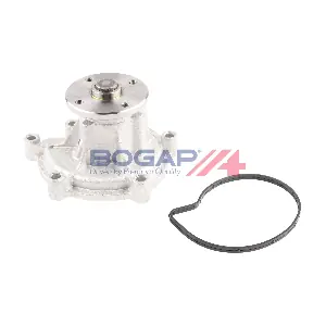 BOGAP C4234119