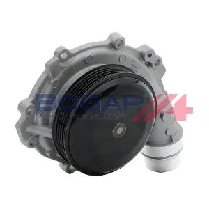 C4234161 BOGAP