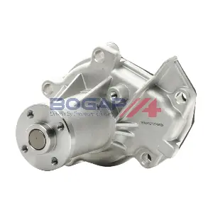 G4234102 BOGAP