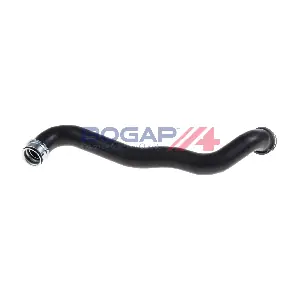 C4228110 BOGAP