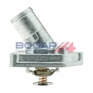 N4245102 BOGAP