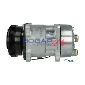 P4110117 BOGAP