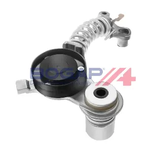 A1317135 BOGAP