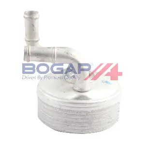 A4223107 BOGAP