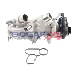 A4234196 BOGAP