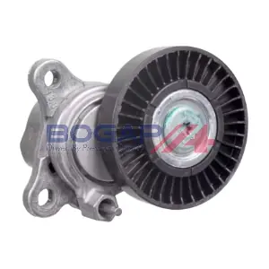 E1317101 BOGAP