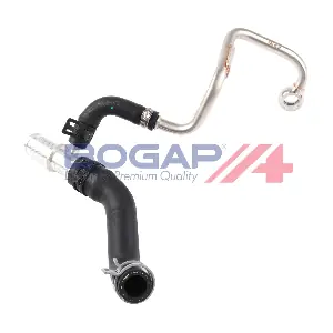 B1728116 BOGAP