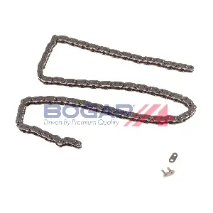 C1310109 BOGAP