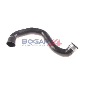 C4228172 BOGAP