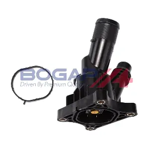V4245105 BOGAP
