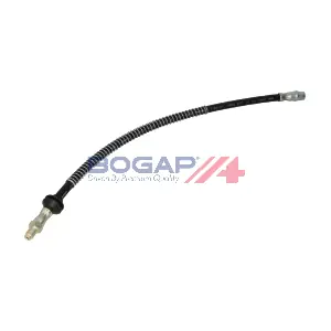 C3124145 BOGAP