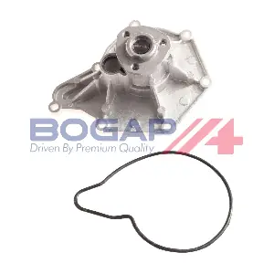 A4234108 BOGAP