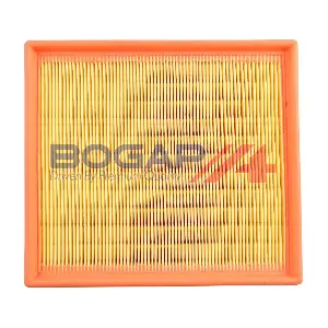 B8111125 BOGAP