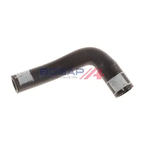 A4228253 BOGAP