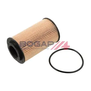 A8113137 BOGAP