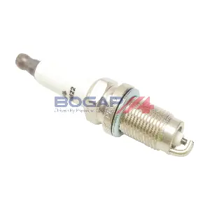A1514155 BOGAP