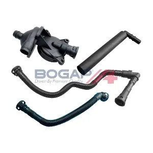 B1217112 BOGAP