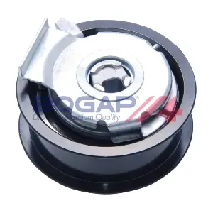 A1317137 BOGAP