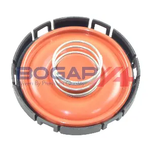 B1116106 BOGAP