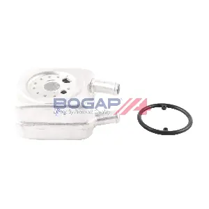 A4222106 BOGAP