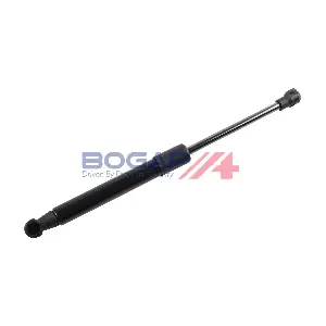 B5134115 BOGAP