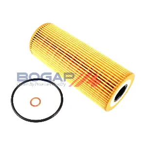 C8113109 BOGAP