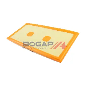 C8111113 BOGAP
