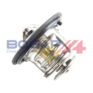 H4245103 BOGAP