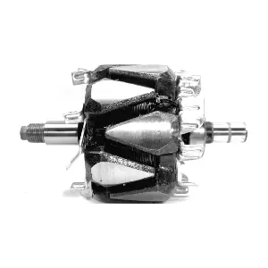1012115260 NIPPON MOTORS (NM)