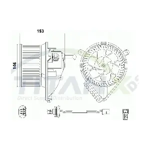 BL319004 TitanX