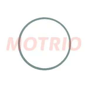 8550503876 MOTRIO