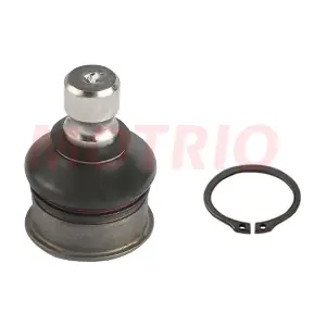 8550501440 MOTRIO
