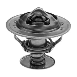 MOTRIO 8550507591