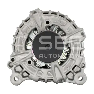 0125811181 SEG Automotive