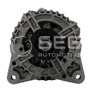 SEG Automotive 0124525532