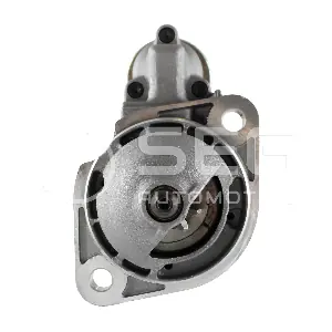 0001109019 SEG Automotive