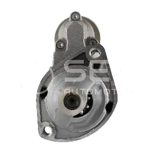 0001115006 SEG Automotive