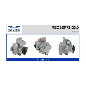 RECSSP73133.0 RECOFICIAL