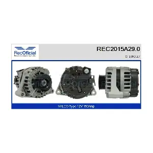 208227 CASCO