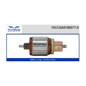 RECOFICIAL RECSAR30077.0